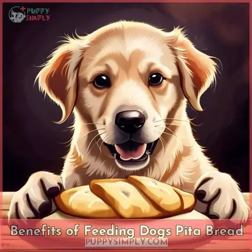 Benefits of Feeding Dogs Pita Bread