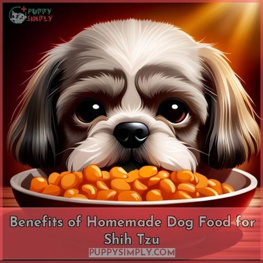 Benefits of Homemade Dog Food for Shih Tzu