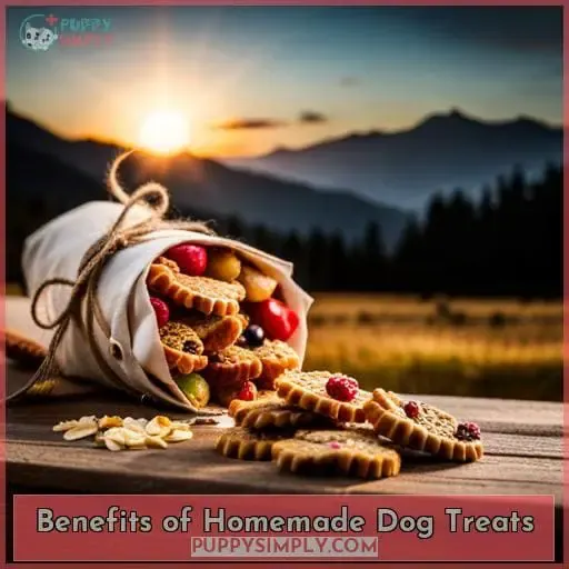 Benefits of Homemade Dog Treats