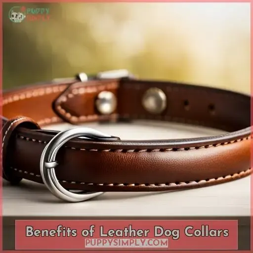 Benefits of Leather Dog Collars