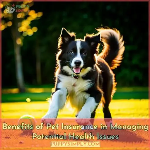 Benefits of Pet Insurance in Managing Potential Health Issues