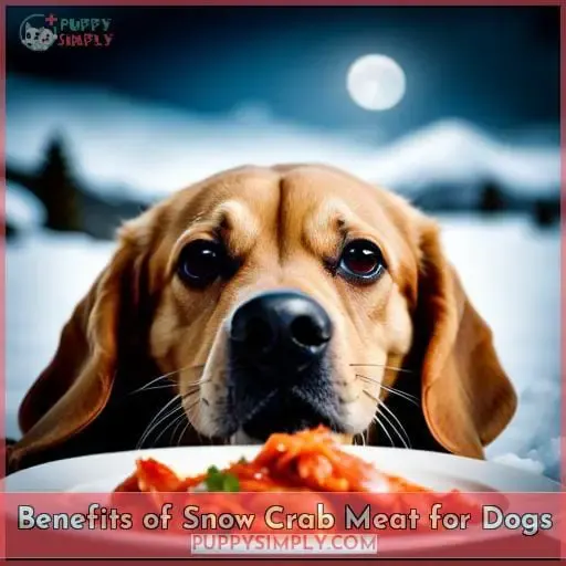 Benefits of Snow Crab Meat for Dogs