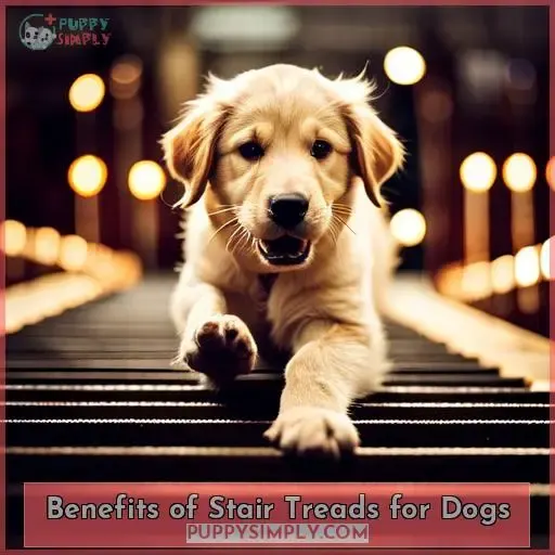 Benefits of Stair Treads for Dogs