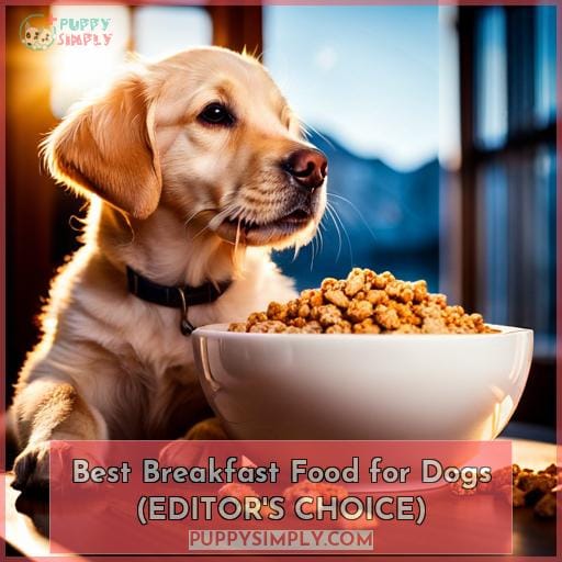 Best Breakfast Food for Dogs (EDITOR
