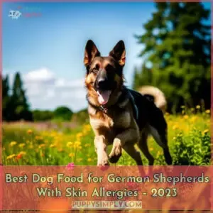 best dog food for german shepherds with skin allergies