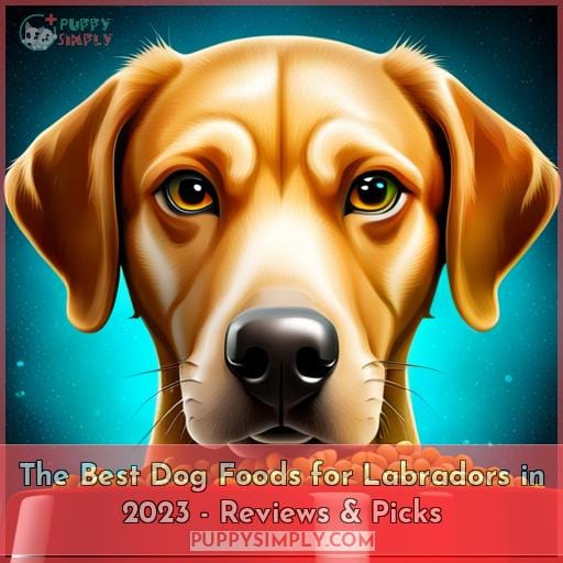 The Best Dog Foods for Labradors in 2023 - Reviews & Picks