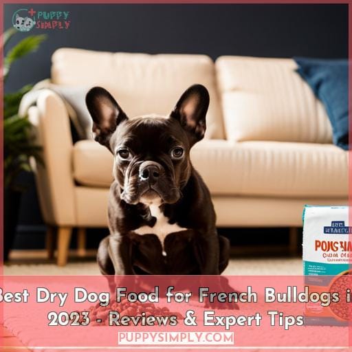 Best Dry Dog Food for French Bulldogs in 2023 Reviews & Expert Tips