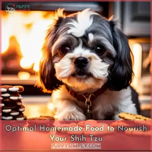 best homemade food for shih tzu