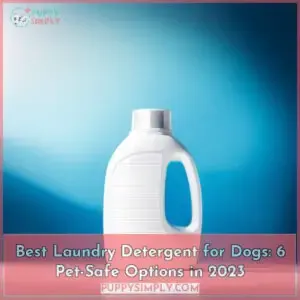 best laundry detergent for dogs