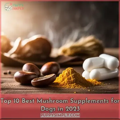 best mushroom supplement for dogs