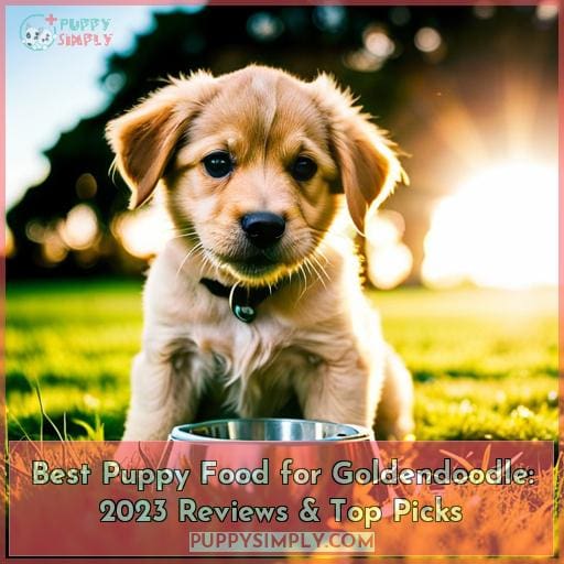 Top 10 Best Puppy Foods for Goldendoodles in 2023