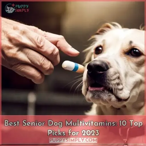 best senior dog multivitamin