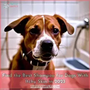 best shampoo for dogs with itchy skin