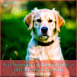 best shampoo for goldendoodles