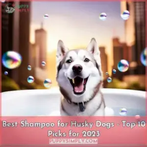 best shampoo for huskies