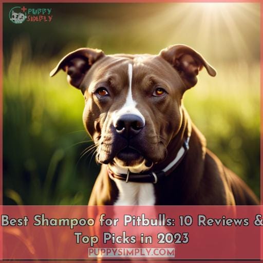 best shampoo for pitbulls