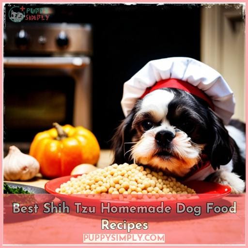 Best Shih Tzu Homemade Dog Food Recipes