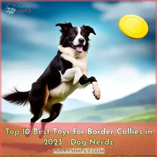 best toys for border collies