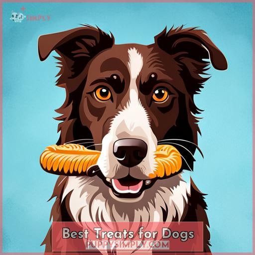 Best Treats for Dogs