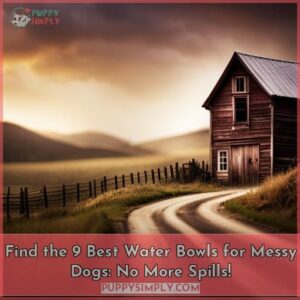 best water bowl for messy dogs