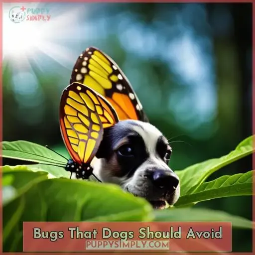Bugs That Dogs Should Avoid