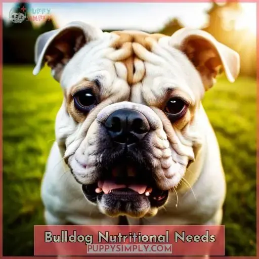 Bulldog Nutritional Needs