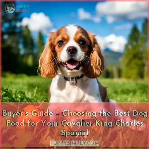 Buyer’s Guide – Choosing the Best Dog Food for Your Cavalier King Charles Spaniel