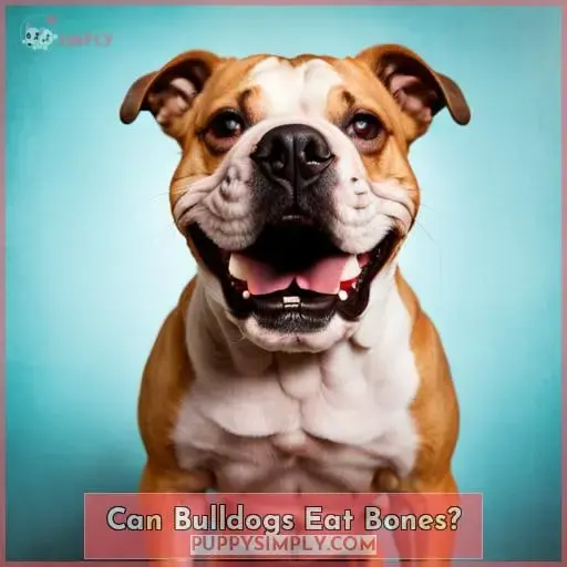 Can Bulldogs Eat Bones
