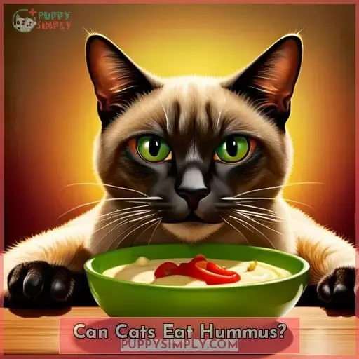 Can Cats Eat Hummus