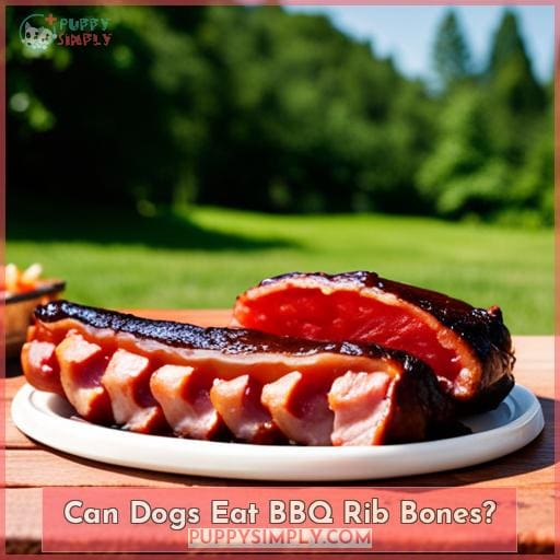 Can Dogs Eat BBQ Rib Bones Can Dogs Eat BBQ Rib Bones