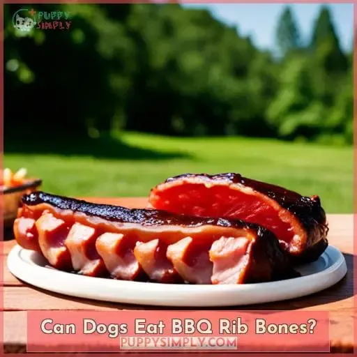 Can Dogs Eat BBQ Rib Bones