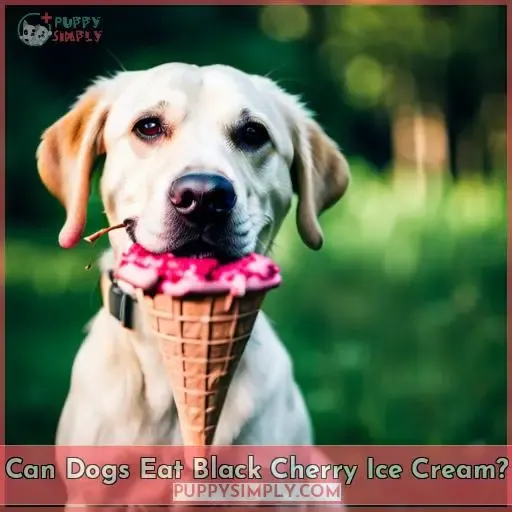 Can Dogs Eat Black Cherry Ice Cream