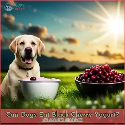 Can Dogs Eat Black Cherry Yogurt