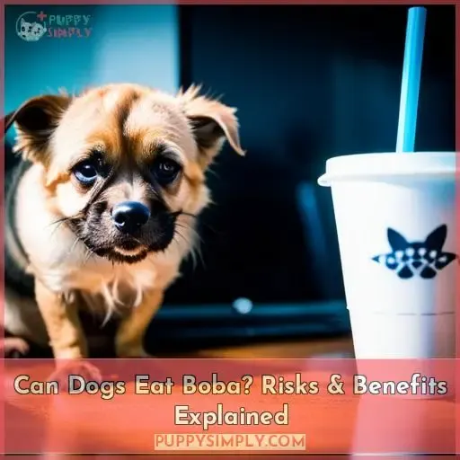 can dogs eat boba