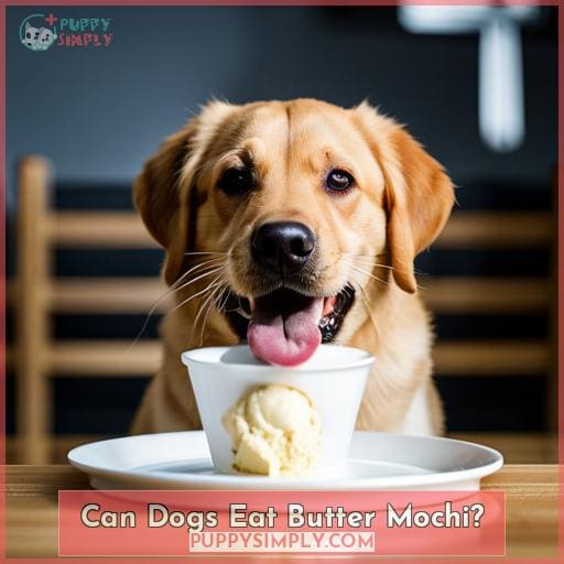 Can Dogs Eat Butter Mochi