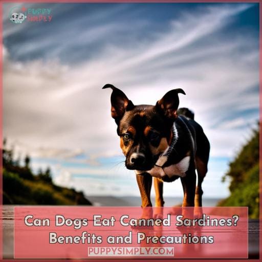 Can Dogs Eat Canned Sardines? Benefits and Precautions