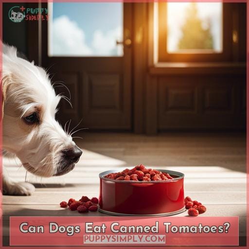 Can Dogs Eat Canned Tomatoes