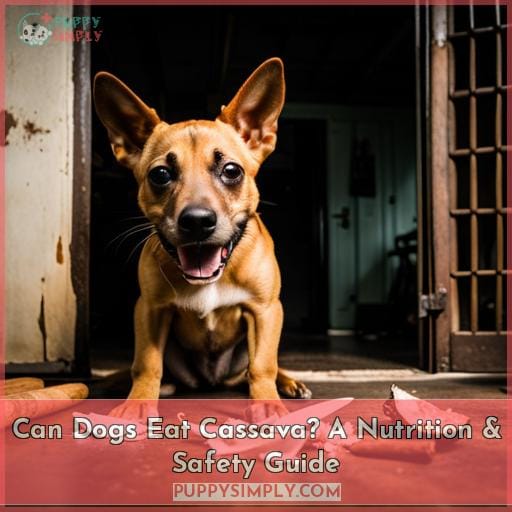 Can Dogs Eat Cassava? A Nutrition & Safety Guide