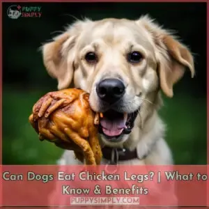 can dogs eat chicken legs