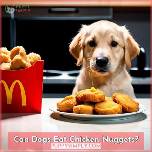 Can Dogs Eat McDonalds Chicken Nuggets? All You Need to Know!