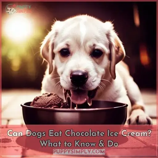 Can Dogs Eat Chocolate Ice Cream
