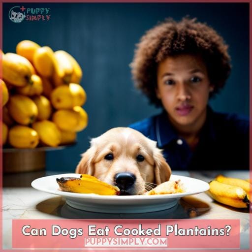 Can Dogs Eat Cooked Plantains