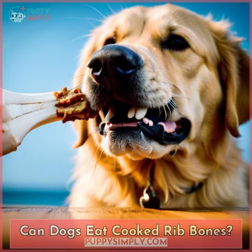 Can Dogs Eat Rib Bones? What You Need to Know