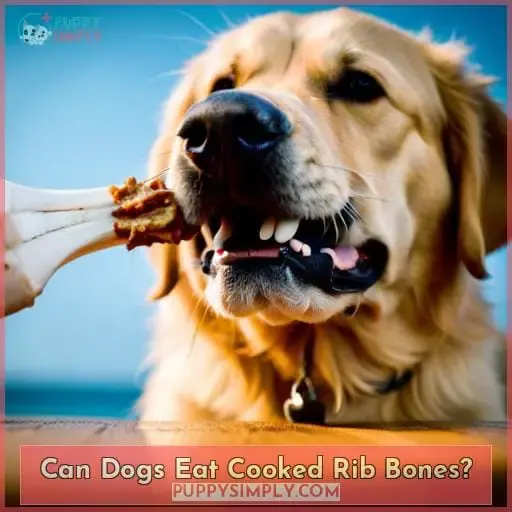 Can Dogs Eat Cooked Rib Bones