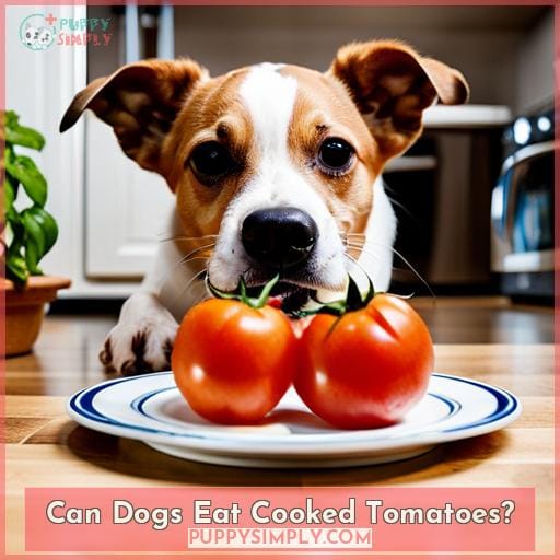 Can Dogs Eat Cooked Tomatoes