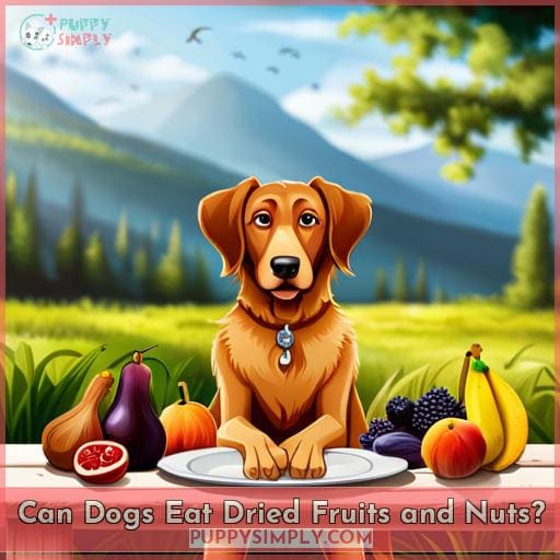 Can Dogs Eat Dried Fruits and Nuts