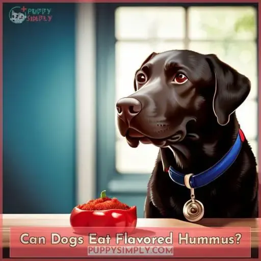 Can Dogs Eat Flavored Hummus