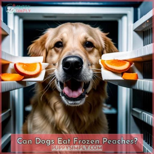 Can Dogs Eat Frozen Peaches