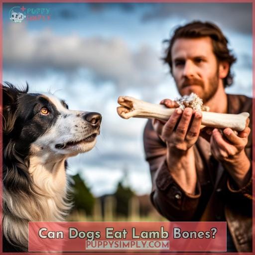 Can Dogs Eat Lamb Bones