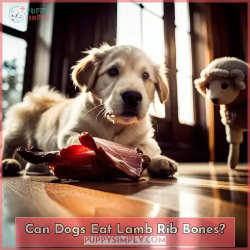 Can Dogs Eat Lamb Rib Bones